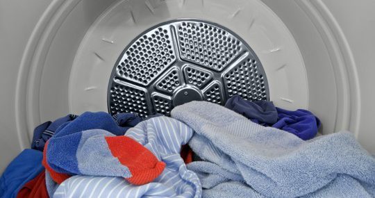 killing bed bugs in your dryer