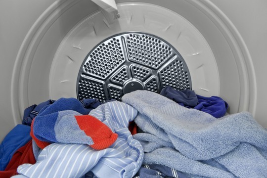 killing bed bugs in your dryer