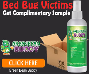 natural bed bug killer