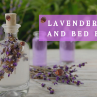 can i kill bed bugs with lavender
