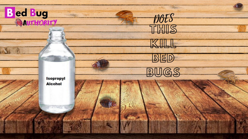 Can I Kill Bed Bugs Using Alcohol? Bed Bug Authority