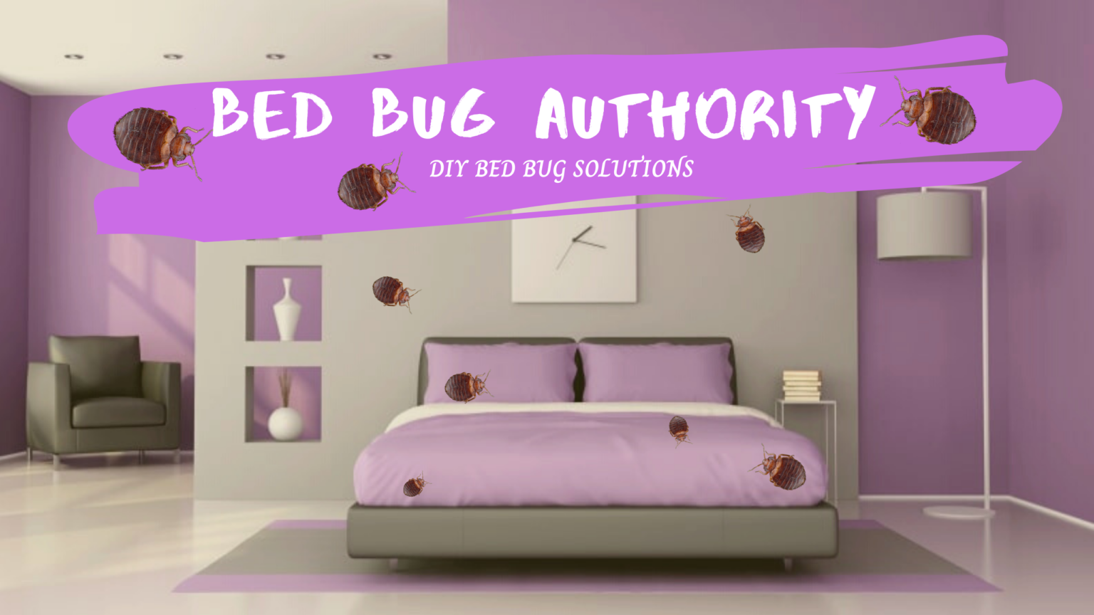 how-to-keep-bed-bugs-out-of-your-home-bed-bug-authority