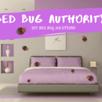 keeping bed bugs out of your home