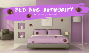 keeping bed bugs out of your home