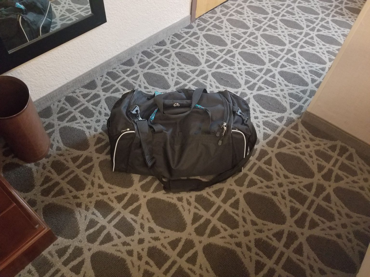 Do Bed Bugs Have Wings and Do They Fly? Bed Bug Authority