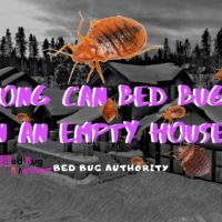 bed bug gone