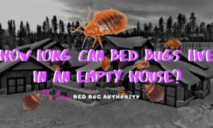 bed bug gone