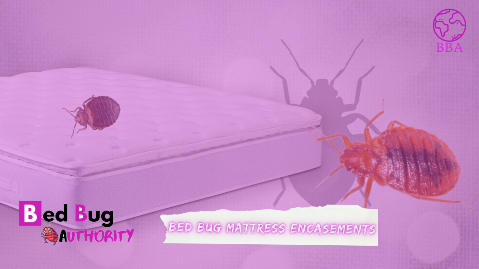 Do Bed Bug Mattress Encasements Work And Which Is The Best? Bed Bug